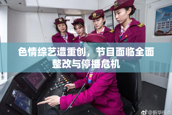 色情综艺遭重创，节目面临全面整改与停播危机