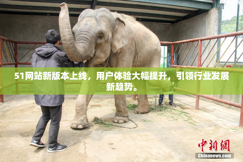 51网站新版本上线，用户体验大幅提升，引领行业发展新趋势。