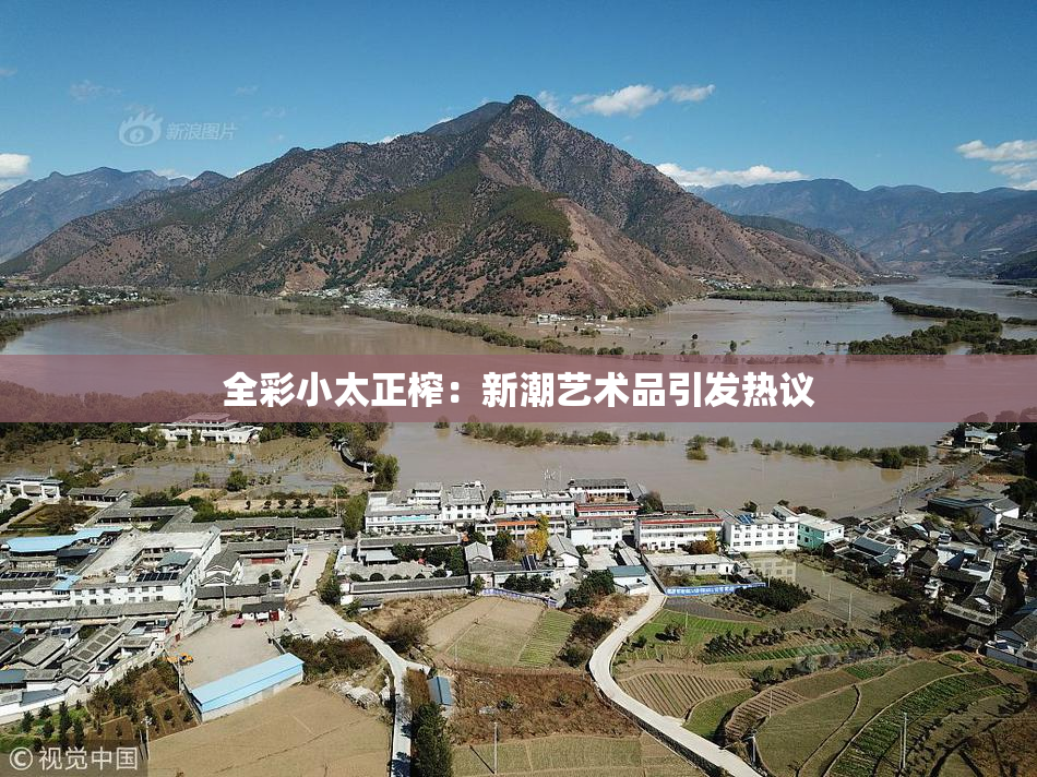 全彩小太正榨：新潮艺术品引发热议