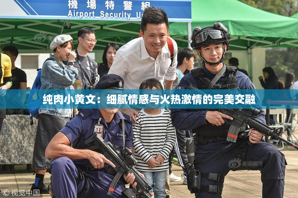 纯肉小黄文：细腻情感与火热激情的完美交融