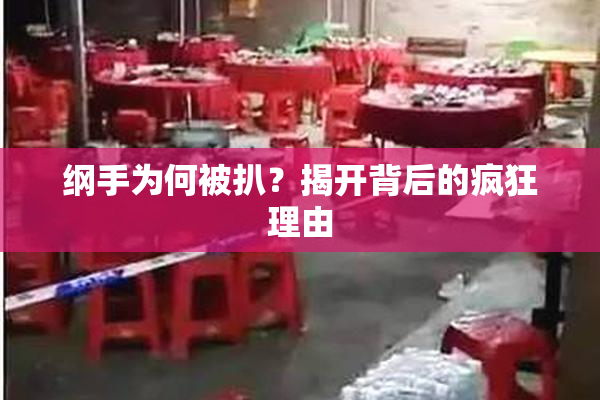 纲手为何被扒？揭开背后的疯狂理由