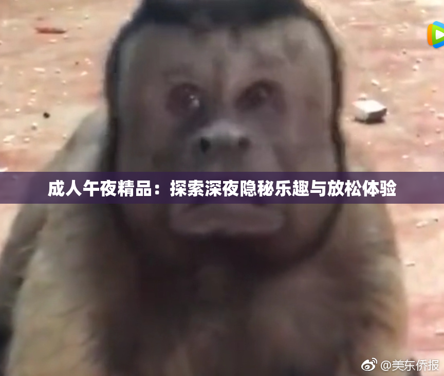成人午夜精品：探索深夜隐秘乐趣与放松体验