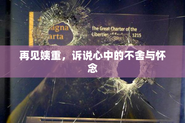 再见姨重，诉说心中的不舍与怀念