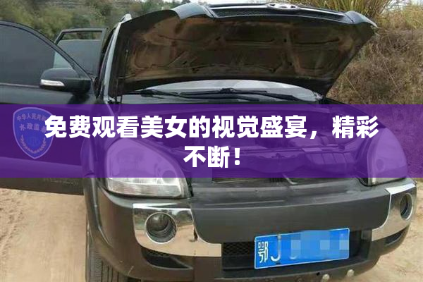 免费观看美女的视觉盛宴，精彩不断！