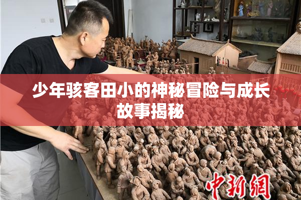 少年骇客田小的神秘冒险与成长故事揭秘