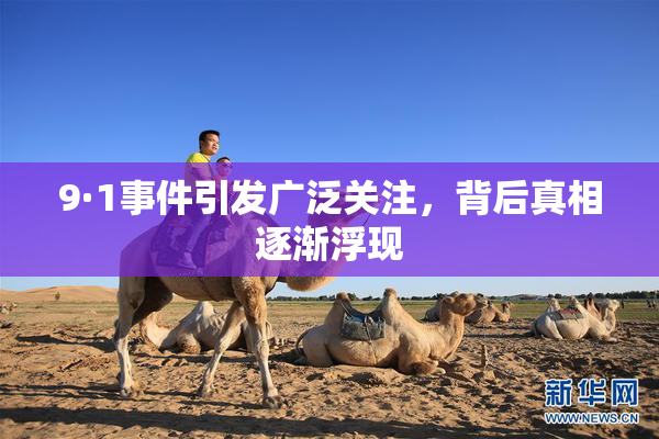 9·1事件引发广泛关注，背后真相逐渐浮现