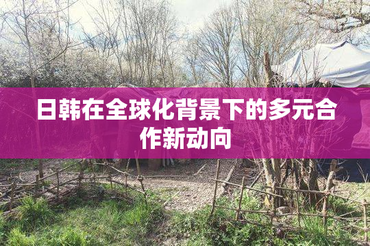 日韩在全球化背景下的多元合作新动向