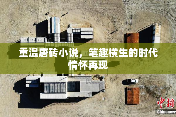 重温唐砖小说，笔趣横生的时代情怀再现