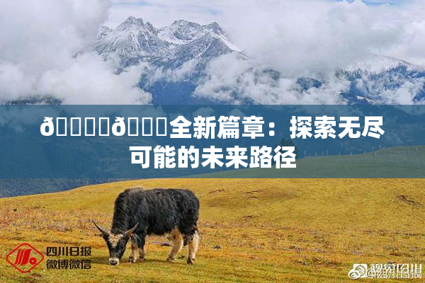 🔞‌🍌全新篇章：探索无尽可能的未来路径