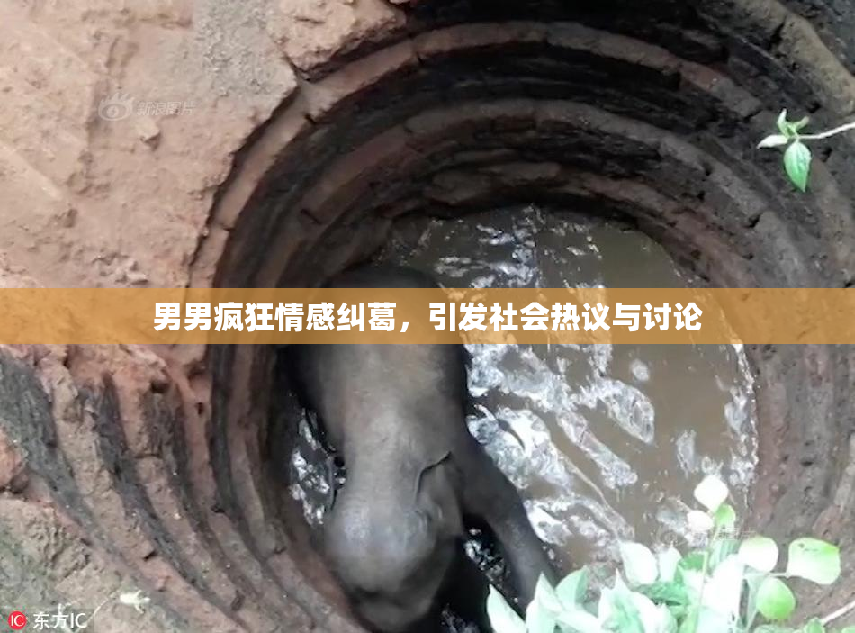 男男疯狂情感纠葛，引发社会热议与讨论
