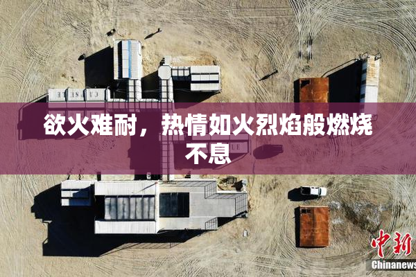 欲火难耐，热情如火烈焰般燃烧不息