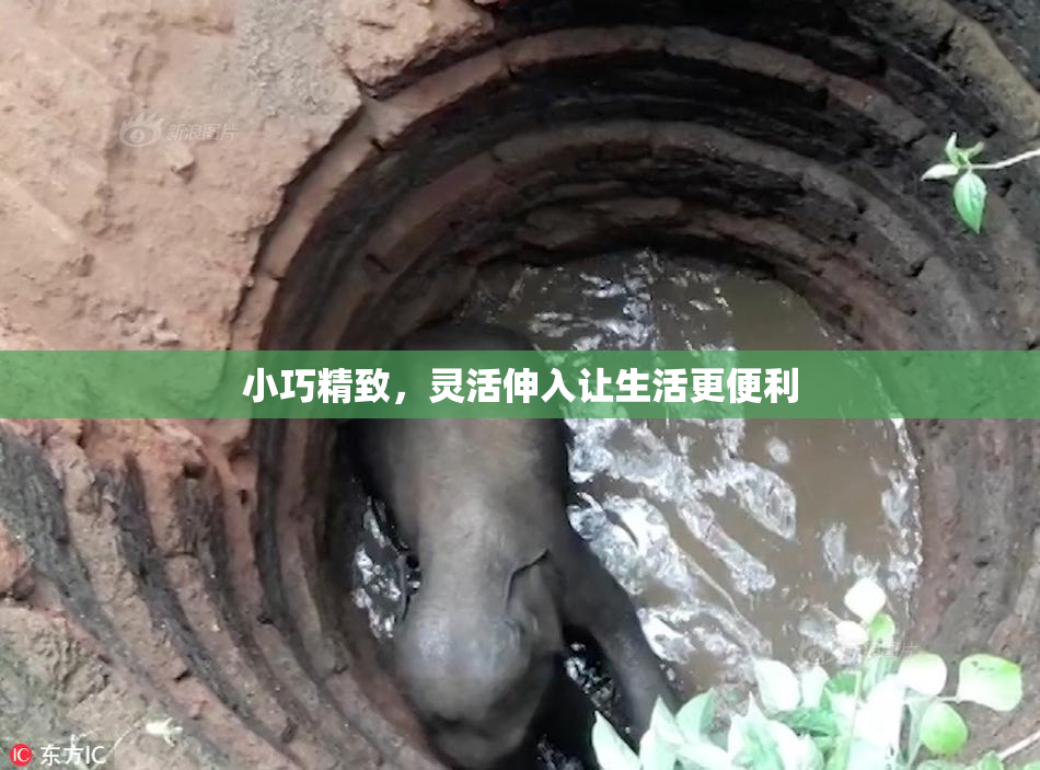 小巧精致，灵活伸入让生活更便利