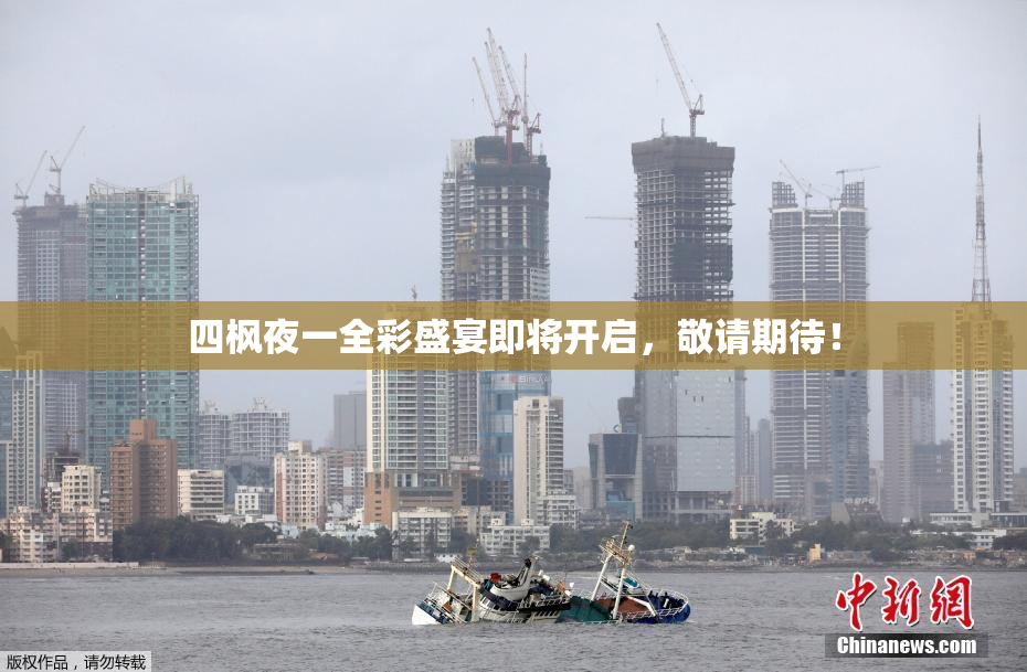 四枫夜一全彩盛宴即将开启，敬请期待！