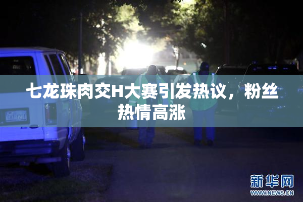 七龙珠肉交H大赛引发热议，粉丝热情高涨