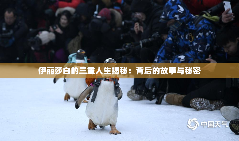 伊丽莎白的三重人生揭秘：背后的故事与秘密