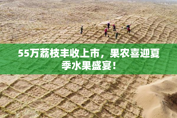 55万荔枝丰收上市，果农喜迎夏季水果盛宴！