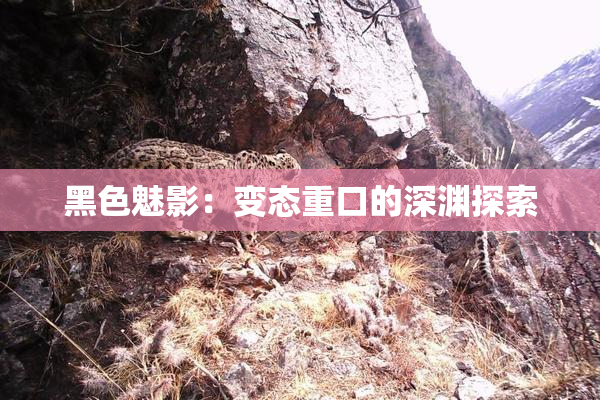 黑色魅影：变态重口的深渊探索