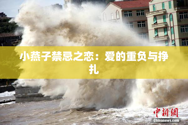 小燕子禁忌之恋：爱的重负与挣扎