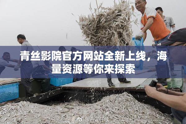 青丝影院官方网站全新上线，海量资源等你来探索