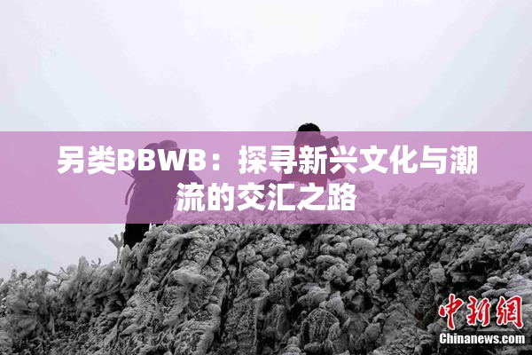 另类BBWB：探寻新兴文化与潮流的交汇之路