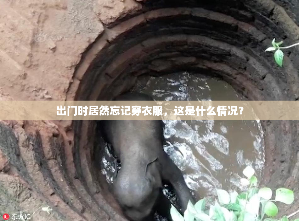 出门时居然忘记穿衣服，这是什么情况？