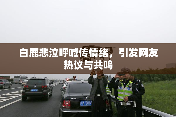 白鹿悲泣呼喊传情绪，引发网友热议与共鸣