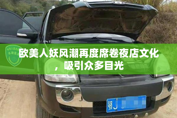 欧美人妖风潮再度席卷夜店文化，吸引众多目光