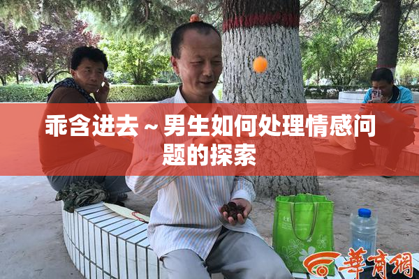 乖含进去～男生如何处理情感问题的探索