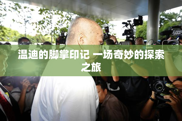 温迪的脚掌印记 一场奇妙的探索之旅