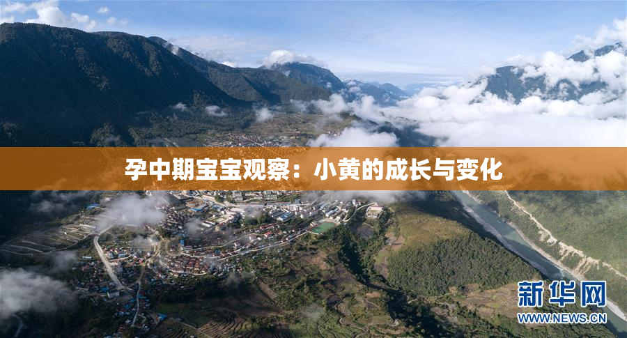 孕中期宝宝观察：小黄的成长与变化