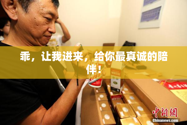 乖，让我进来，给你最真诚的陪伴！