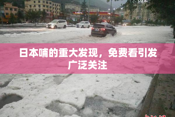 日本哺的重大发现，免费看引发广泛关注