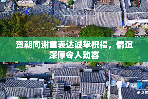 贺朝向谢重表达诚挚祝福，情谊深厚令人动容