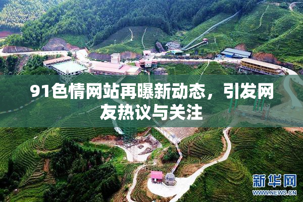 91色情网站再曝新动态，引发网友热议与关注
