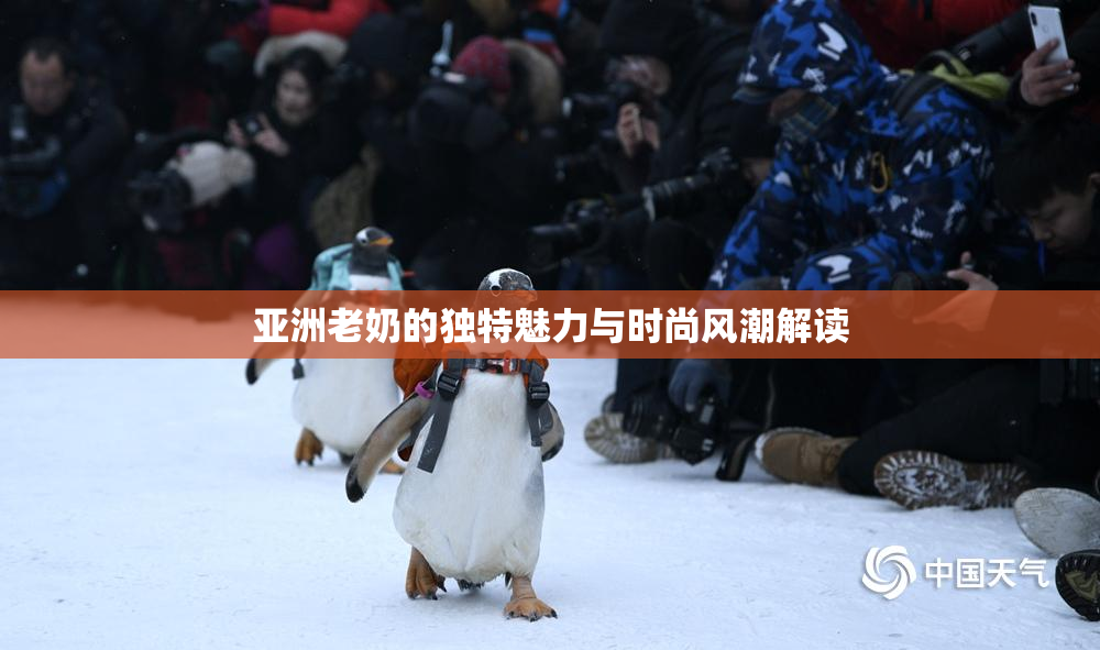 亚洲老奶的独特魅力与时尚风潮解读