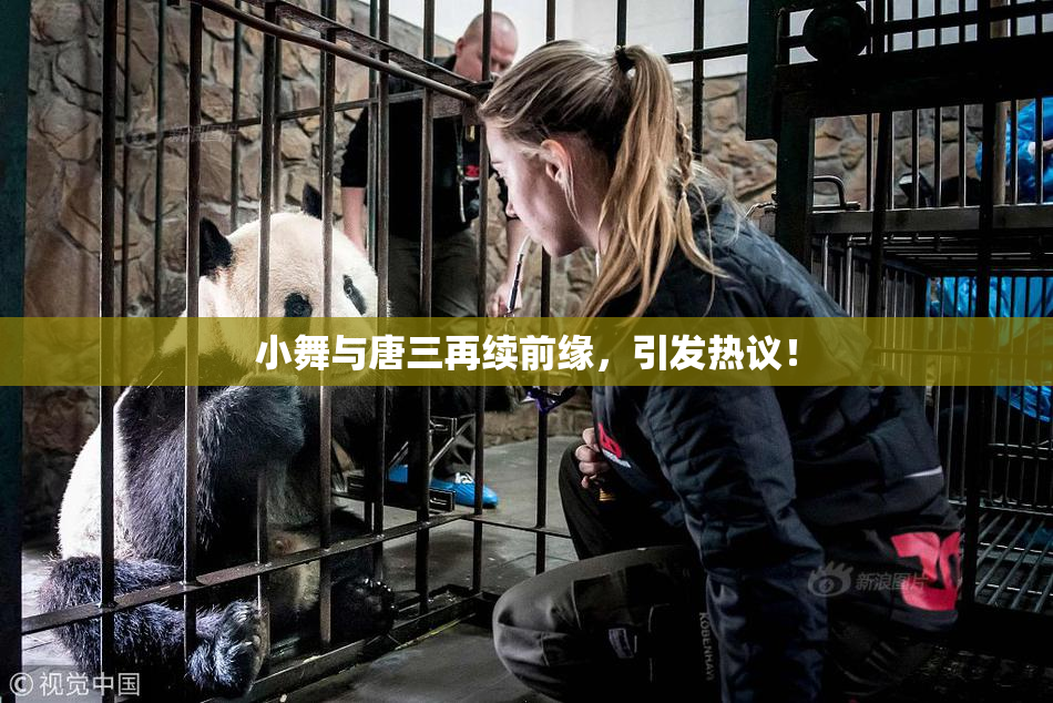 小舞与唐三再续前缘，引发热议！