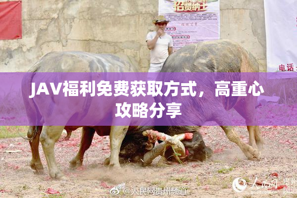 JAV福利免费获取方式，高重心攻略分享