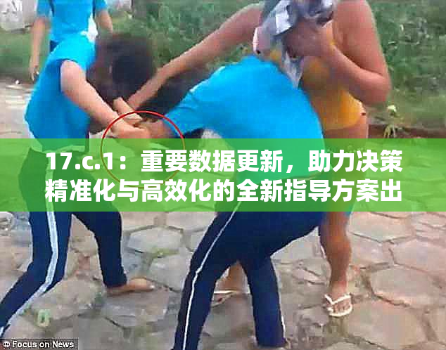 17.c.1：重要数据更新，助力决策精准化与高效化的全新指导方案出台