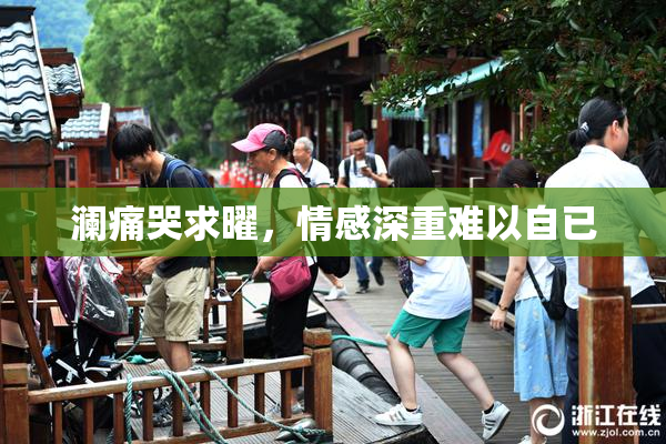 澜痛哭求曜，情感深重难以自已