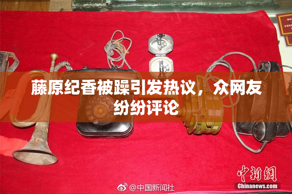 藤原纪香被躁引发热议，众网友纷纷评论