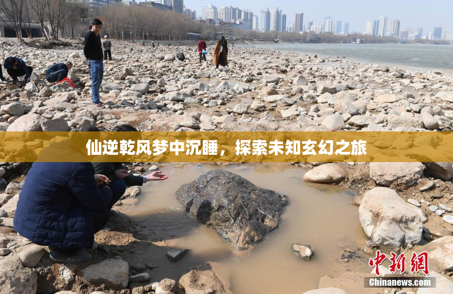 仙逆乾风梦中沉睡，探索未知玄幻之旅