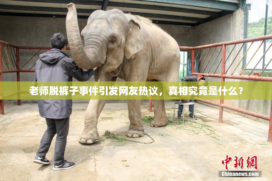 老师脱裤子事件引发网友热议，真相究竟是什么？