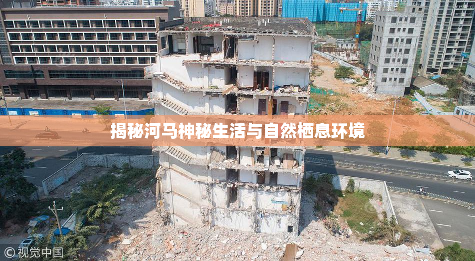 揭秘河马神秘生活与自然栖息环境