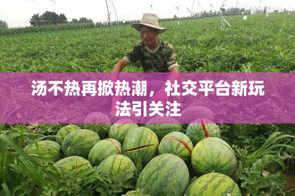 汤不热再掀热潮，社交平台新玩法引关注