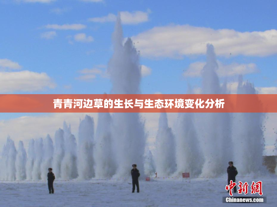 青青河边草的生长与生态环境变化分析