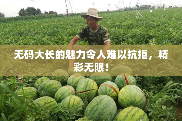 无码大长的魅力令人难以抗拒，精彩无限！