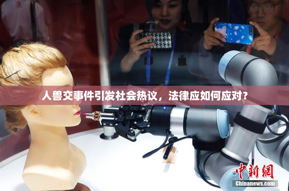 人兽交事件引发社会热议，法律应如何应对？