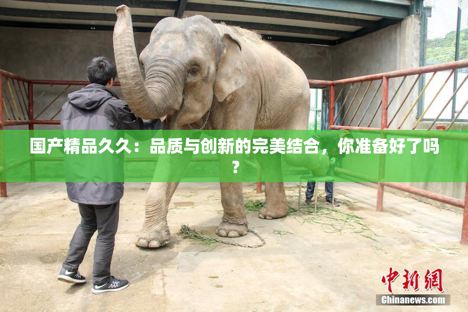 国产精品久久：品质与创新的完美结合，你准备好了吗？