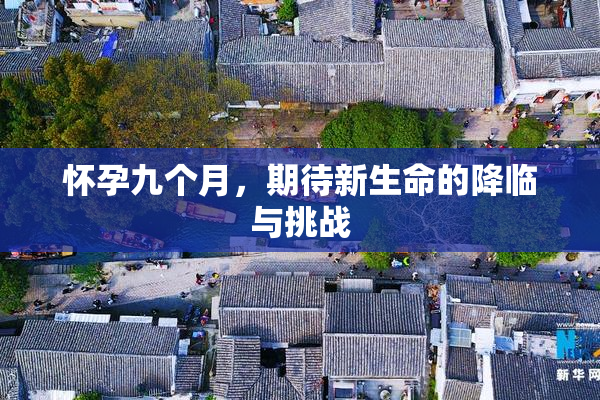 怀孕九个月，期待新生命的降临与挑战