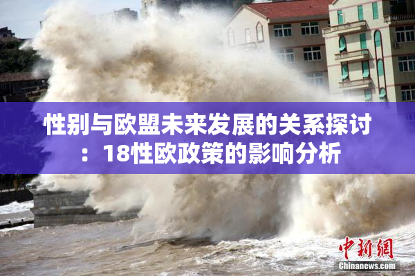 性别与欧盟未来发展的关系探讨：18性欧政策的影响分析